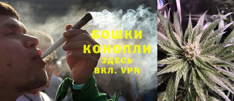 Шишки марихуана OG Kush  кракен рабочий сайт  Волгореченск  shop формула  купить закладку 